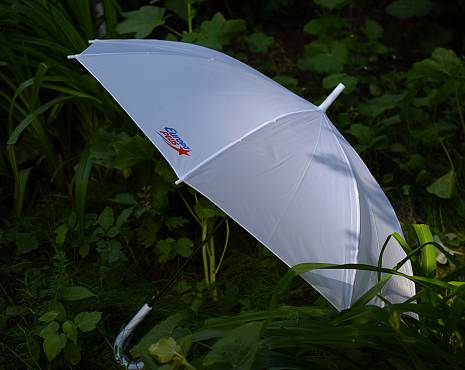Пример работ «Зонты» №23